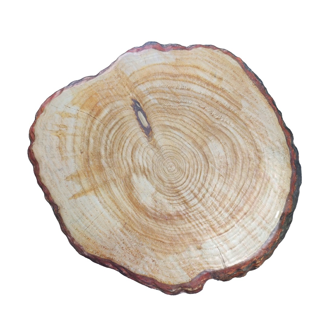 TABLA MELAMINA COLOR MADERA 33X30CM - 3