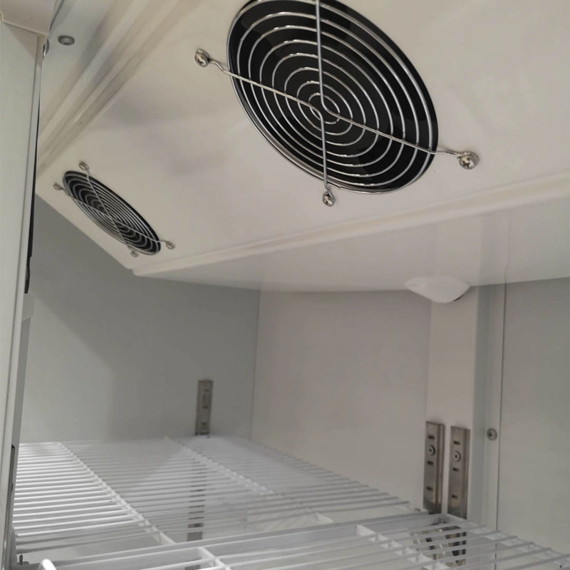 COOLER NORKALT 2 PUERTAS VENTILADO 550 LTS - 6