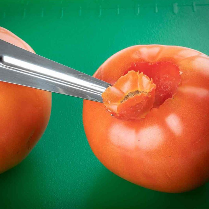 DESCORAZADOR DE TOMATES - 2
