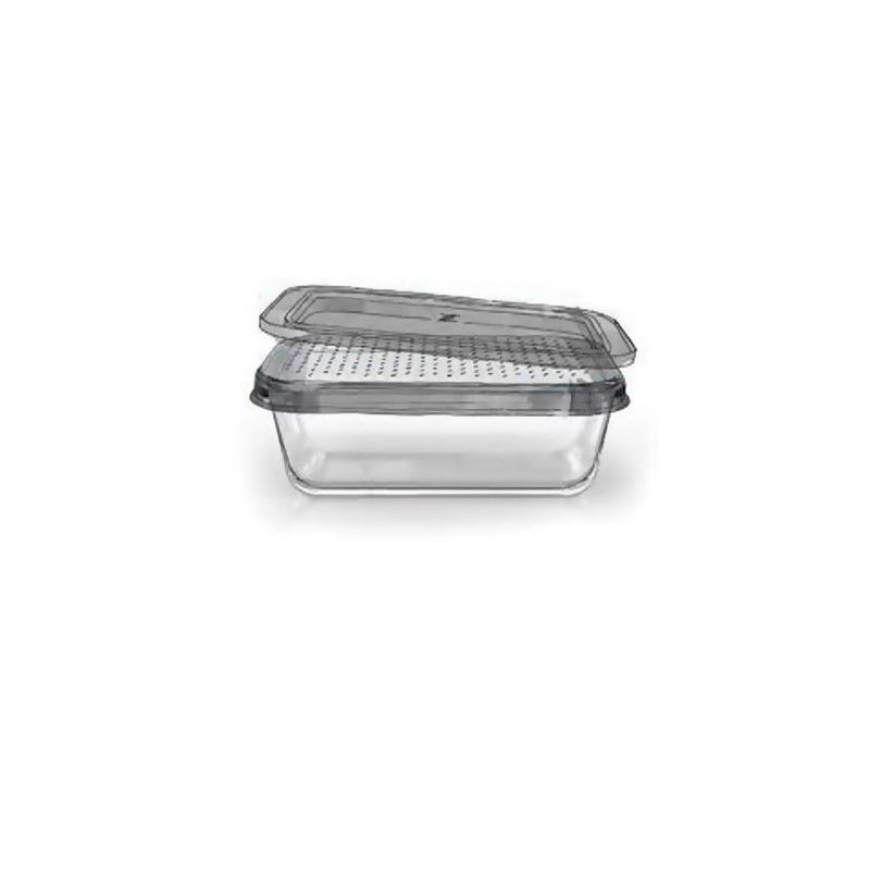 TUPPER RECTANGULAR VIDRIO 800 CC - 1
