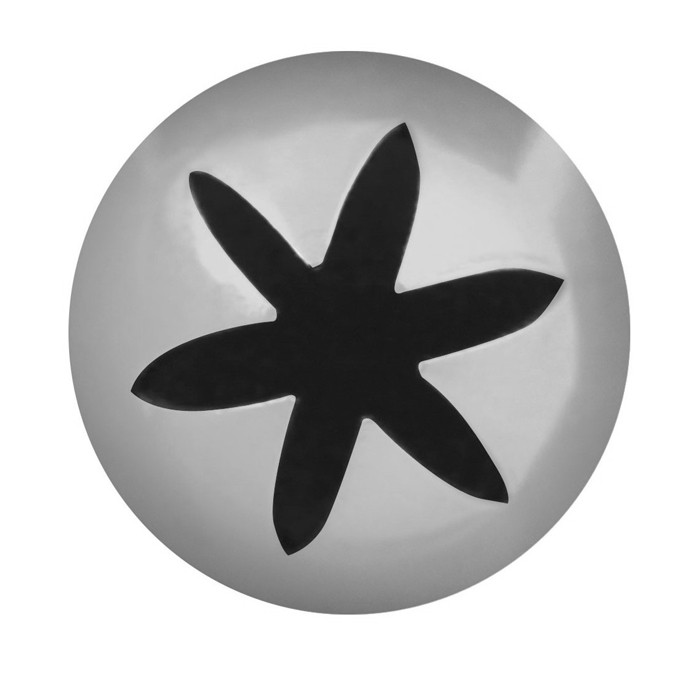 SET DE 2 BOQUILLA ESTRELLA 6P INOX Ø9XØ18X35MM - 2