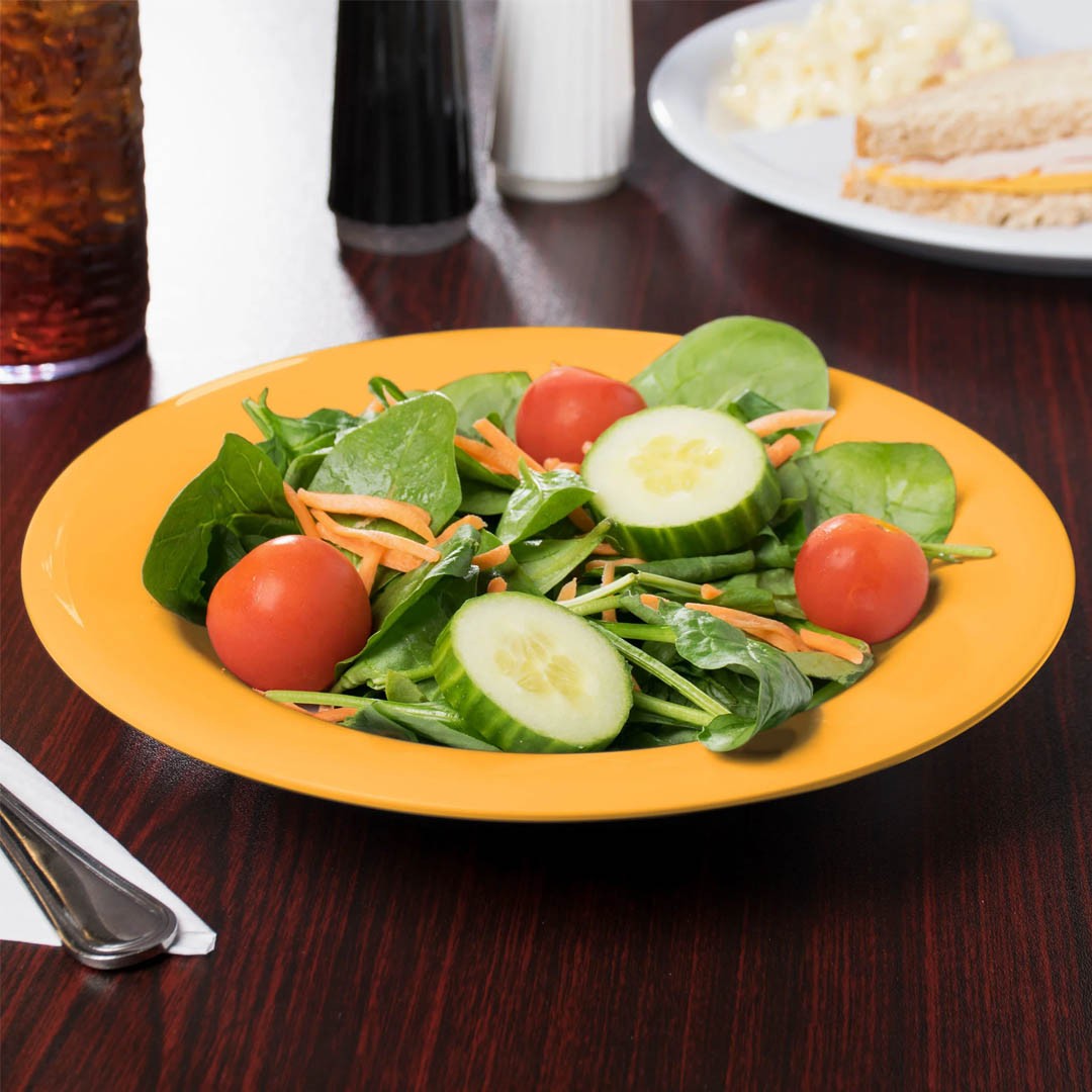 SET DE 4 PLATO SOPA MELAMINA 24CM - 2