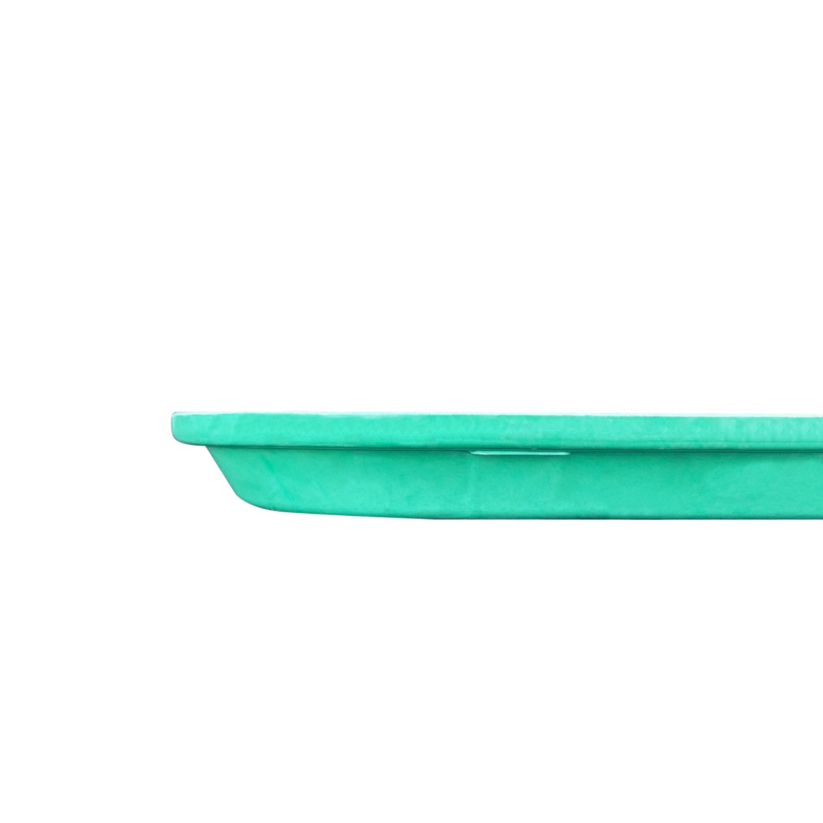 BANDEJA FIBRA DE VIDRIO 35X45 CM VERDE - 4