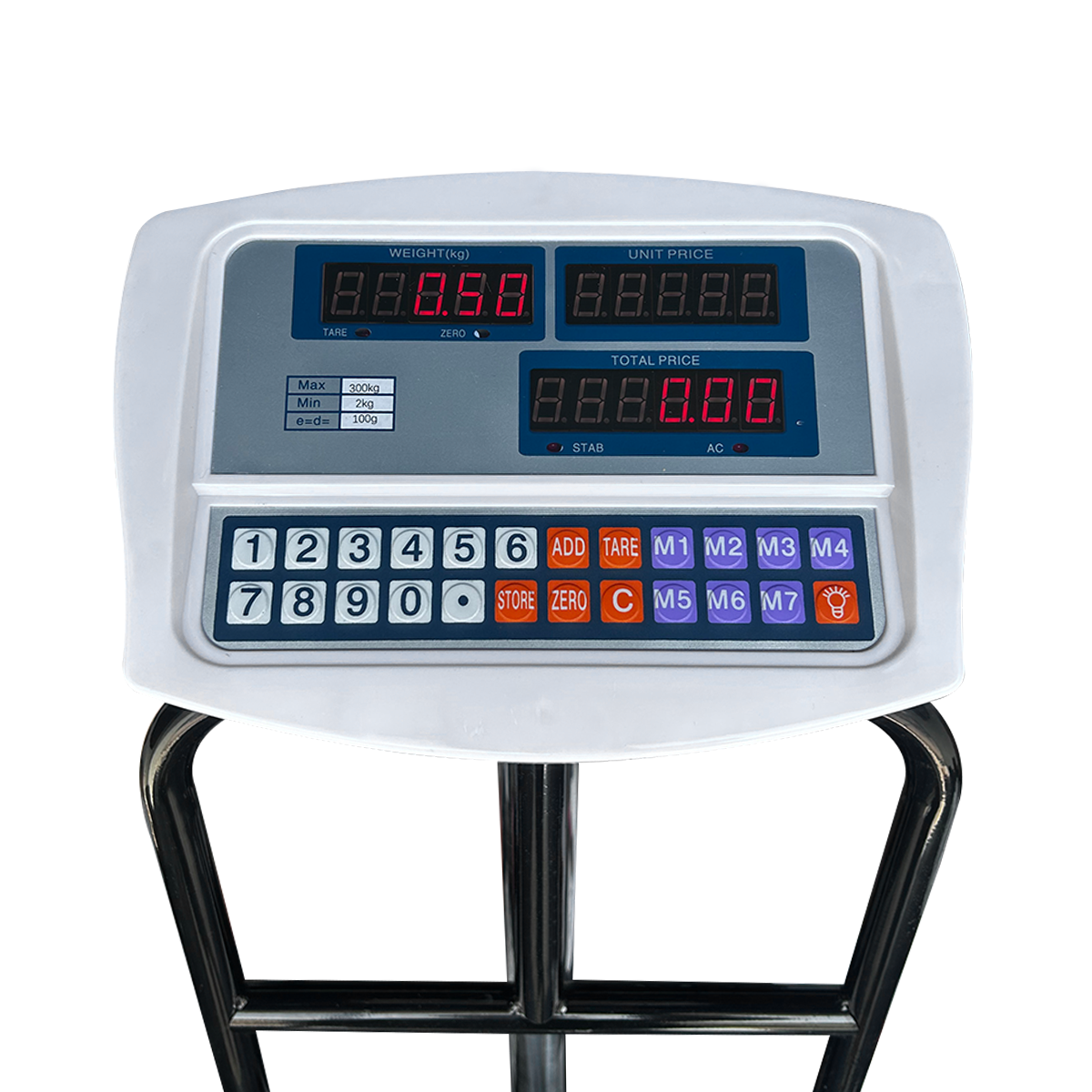BALANZA DE PISO 300 KG / 100 GR - 2