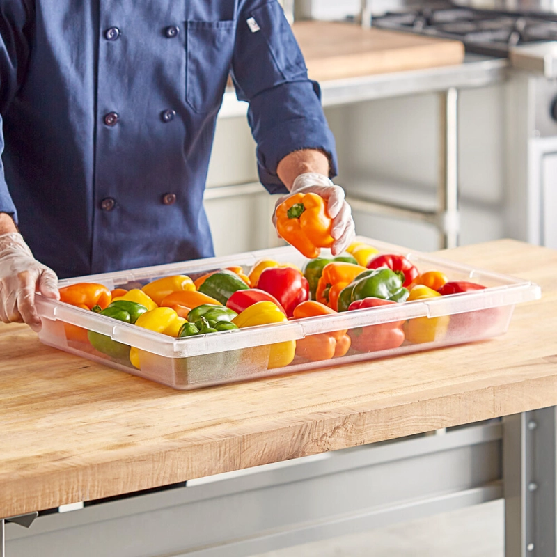 CAJA DE ALIMENTOS POLICARBONATO 66X46X9 CM - 2