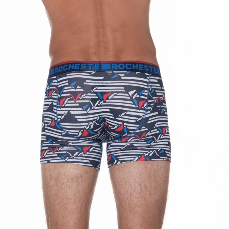 BOXER AJUSTADO DE ALGODON CON ESTAMPADO - 3