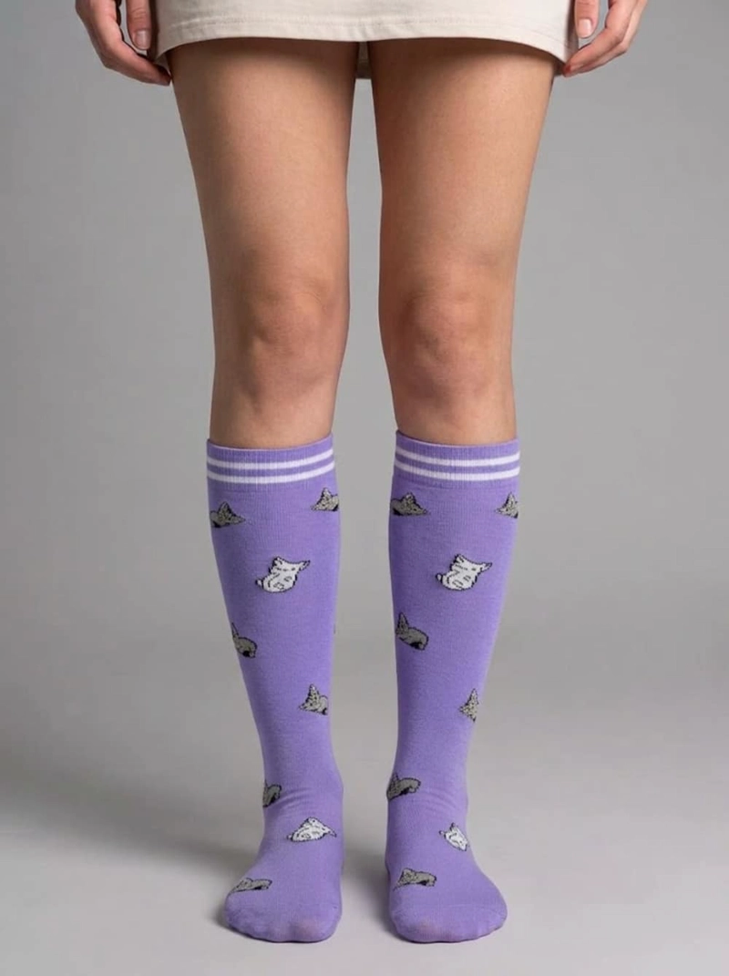 BUCANERAS DE COMPRESION NYLON GATITOS MUJER TORNASOL - 1