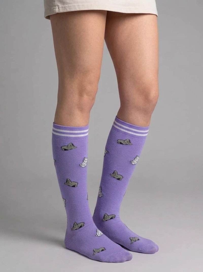 BUCANERAS DE COMPRESION NYLON GATITOS MUJER TORNASOL - 2