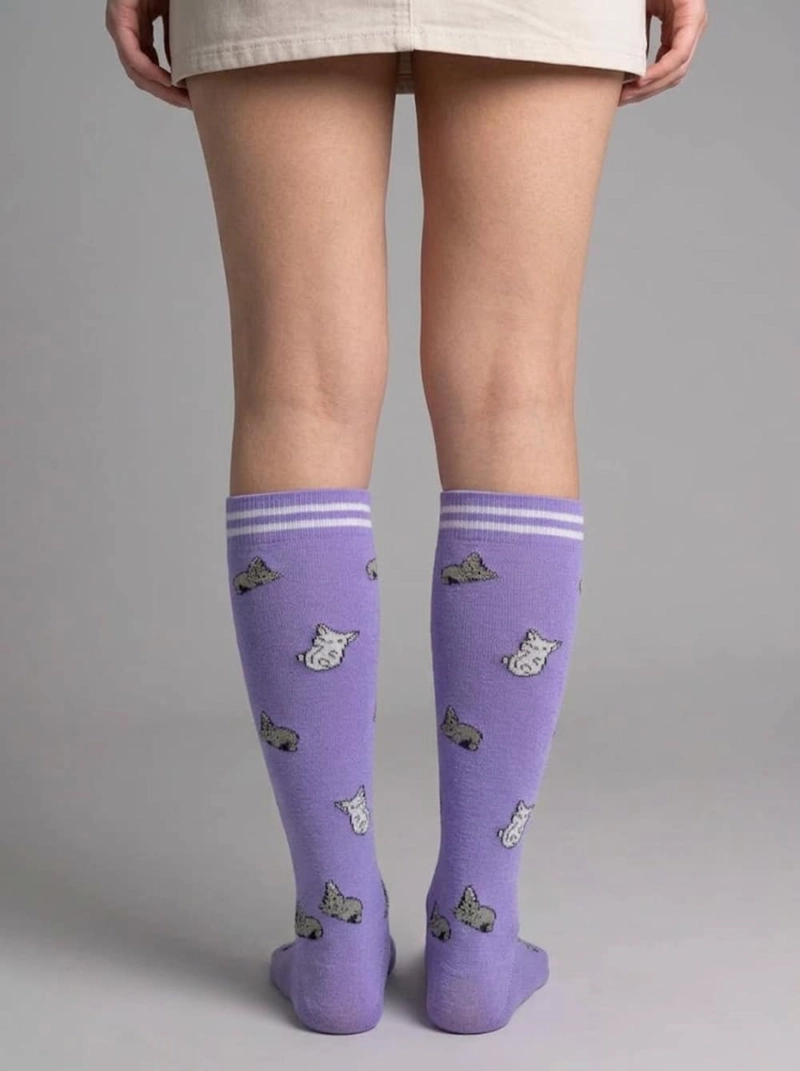 BUCANERAS DE COMPRESION NYLON GATITOS MUJER TORNASOL - 3