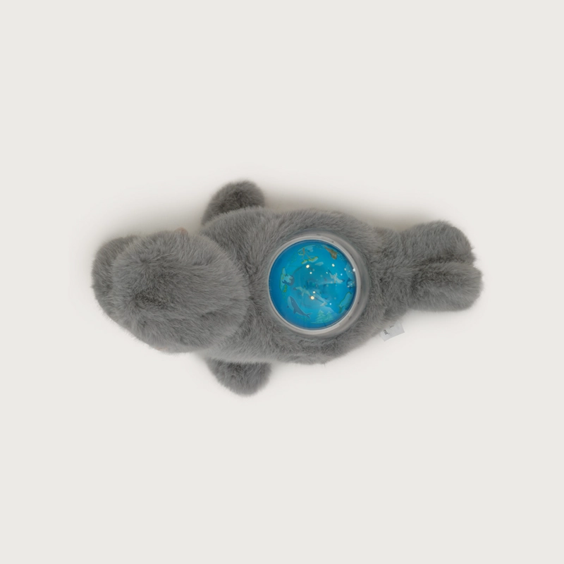 PROYECTOR DREAMNEST FOCA OPALINE - 2