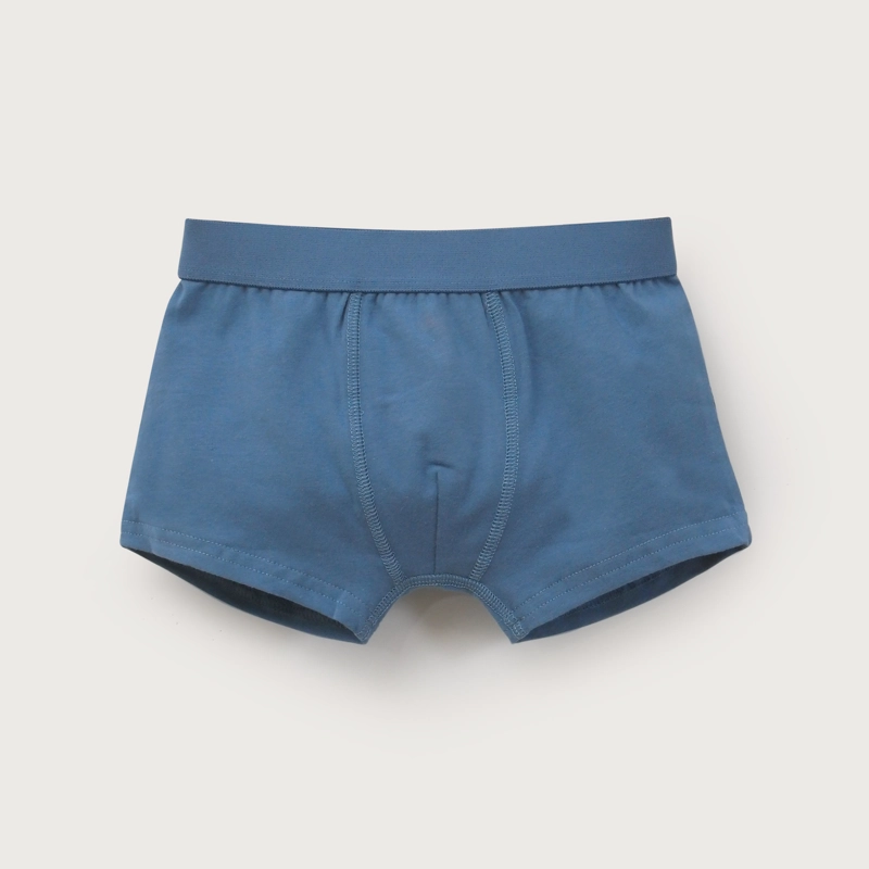 PACK DE 5 BOXER ALGODON NIÑO OPALINE - 3