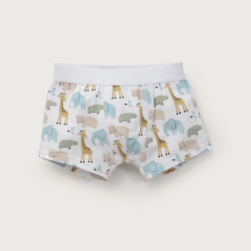 PACK DE 5 BOXER ALGODON NIÑO OPALINE - 4