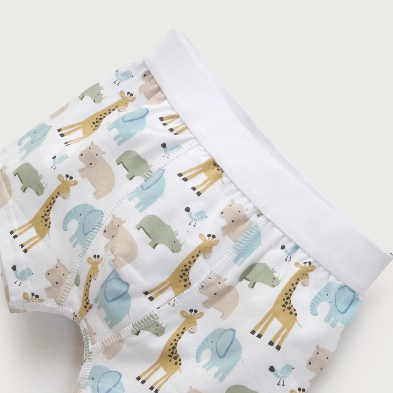 PACK DE 5 BOXER ALGODON NIÑO OPALINE - 7