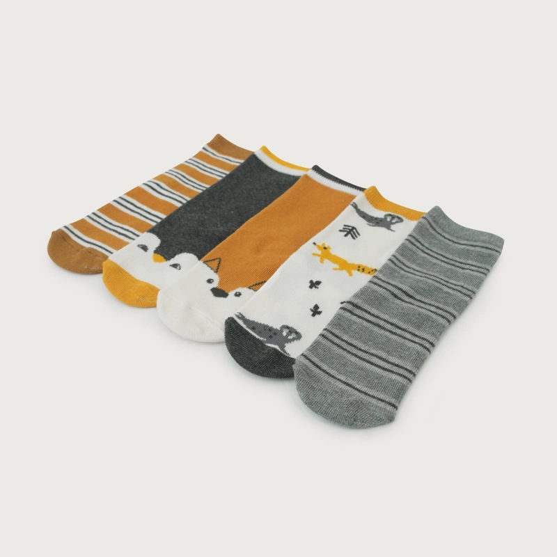 PACK DE 5 CALCETINES DE NIÑO OPALINE - 2
