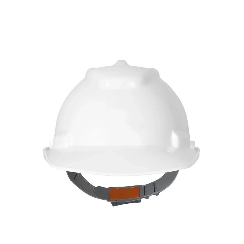 CASCO MONSTER TOP 33 - 3