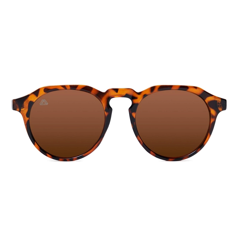 LENTES SOL RECKLESS STONE TORTOISE PROTECCIÓN UV 400 - 1