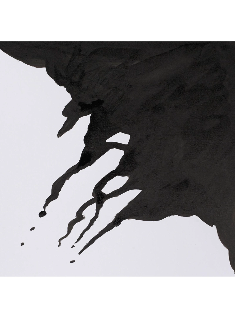 TINTA PARA DIBUJO WINSOR & NEWTON LIQUID INDIAN 30ML - 3