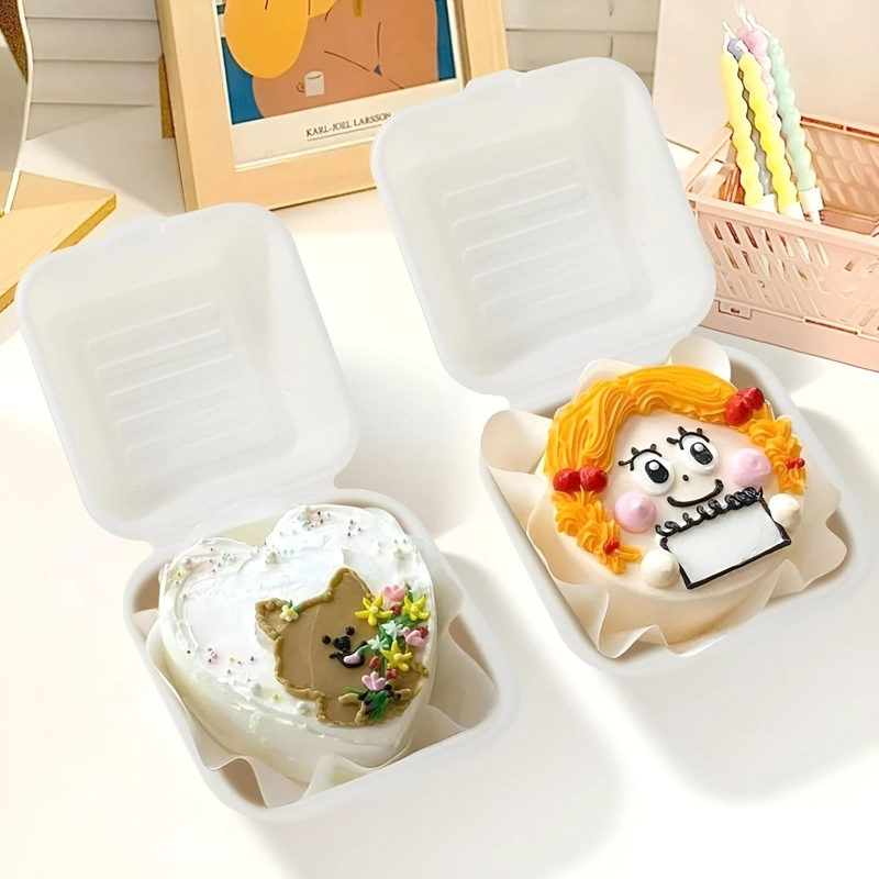 X50 CONTENEDOR DE ALIMENTOS ENVASES DESECHABLES COMPOSTABLES - 5