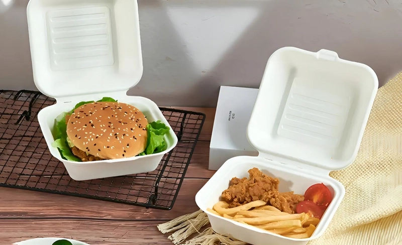 100 ENVASE DESECHABLES CONTENEDOR DE ALIMENTOS COMPOSTABLES BANDEJAS DESECHABLES COMIDA ENVASES COMI - 9