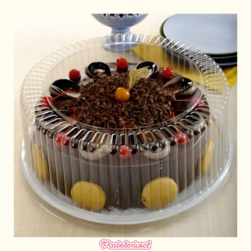 X30 PORTA TORTAS PORTA CUPCAKE BANDEJAS PARA TORTA 31X11CM - 6