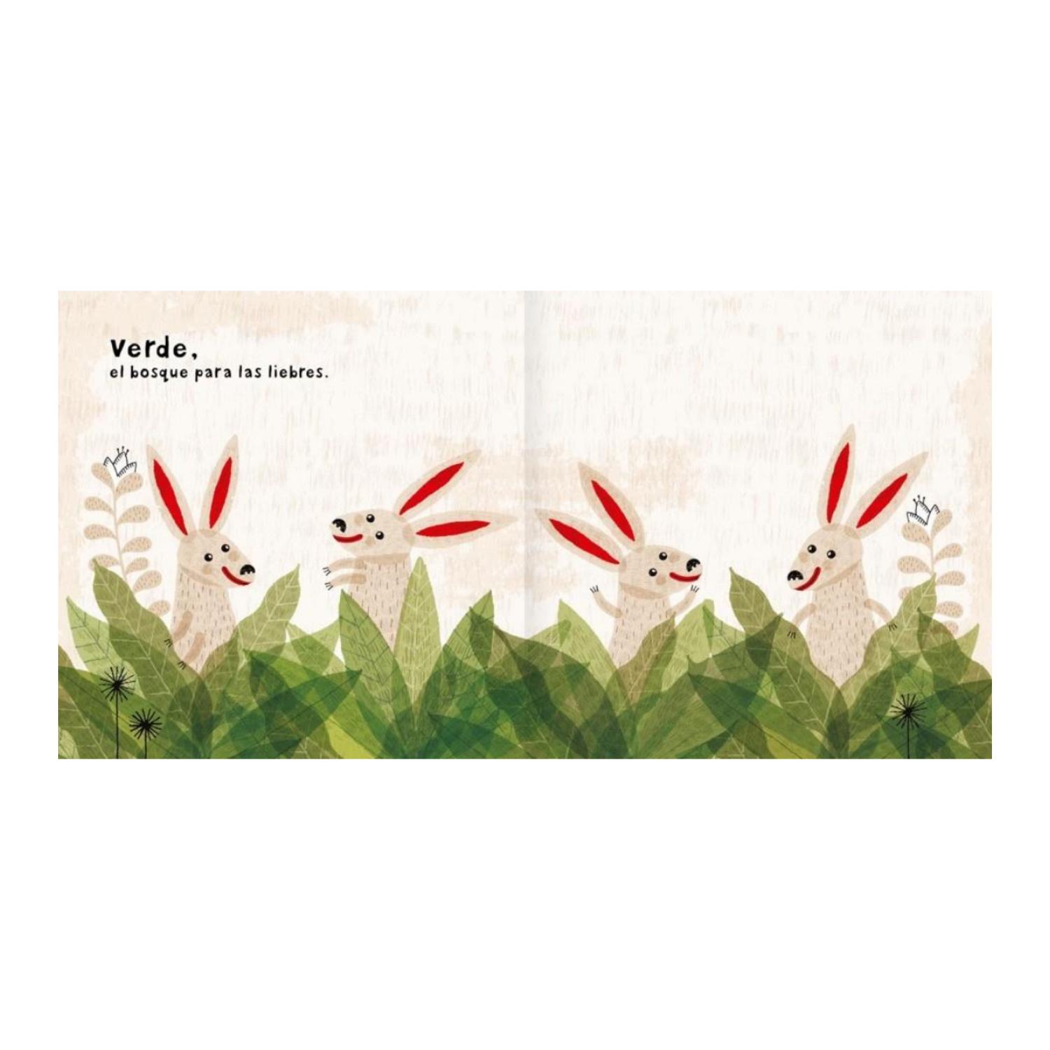 LIBRO COLORES - ESTRELLA ORTIZ - 2
