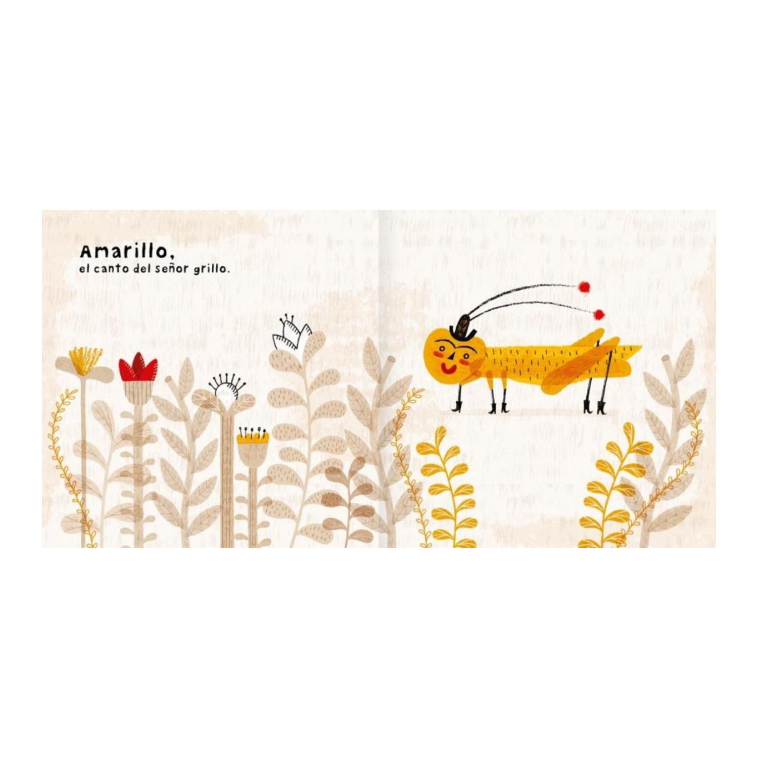 LIBRO COLORES - ESTRELLA ORTIZ - 4