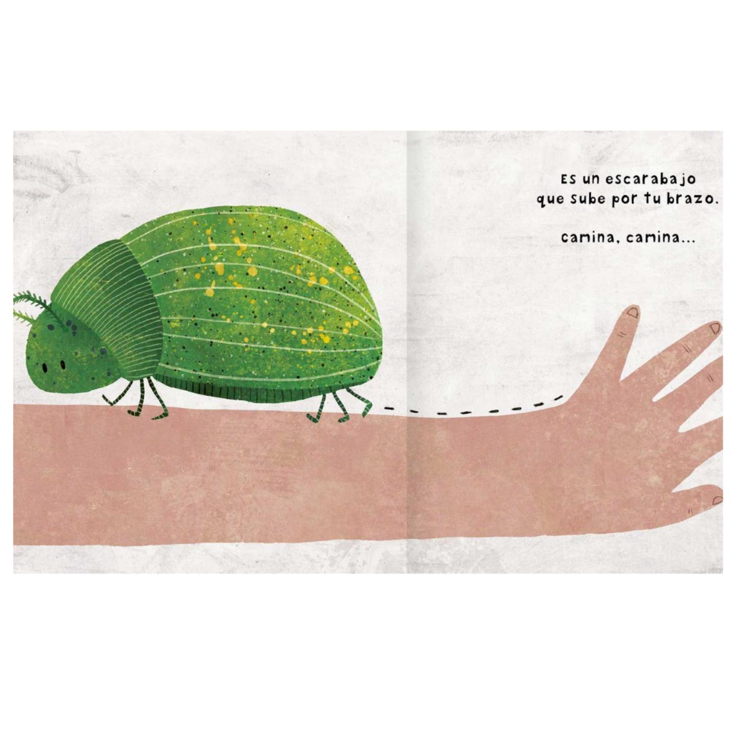 LIBRO MENUDOS BICHOS - 3