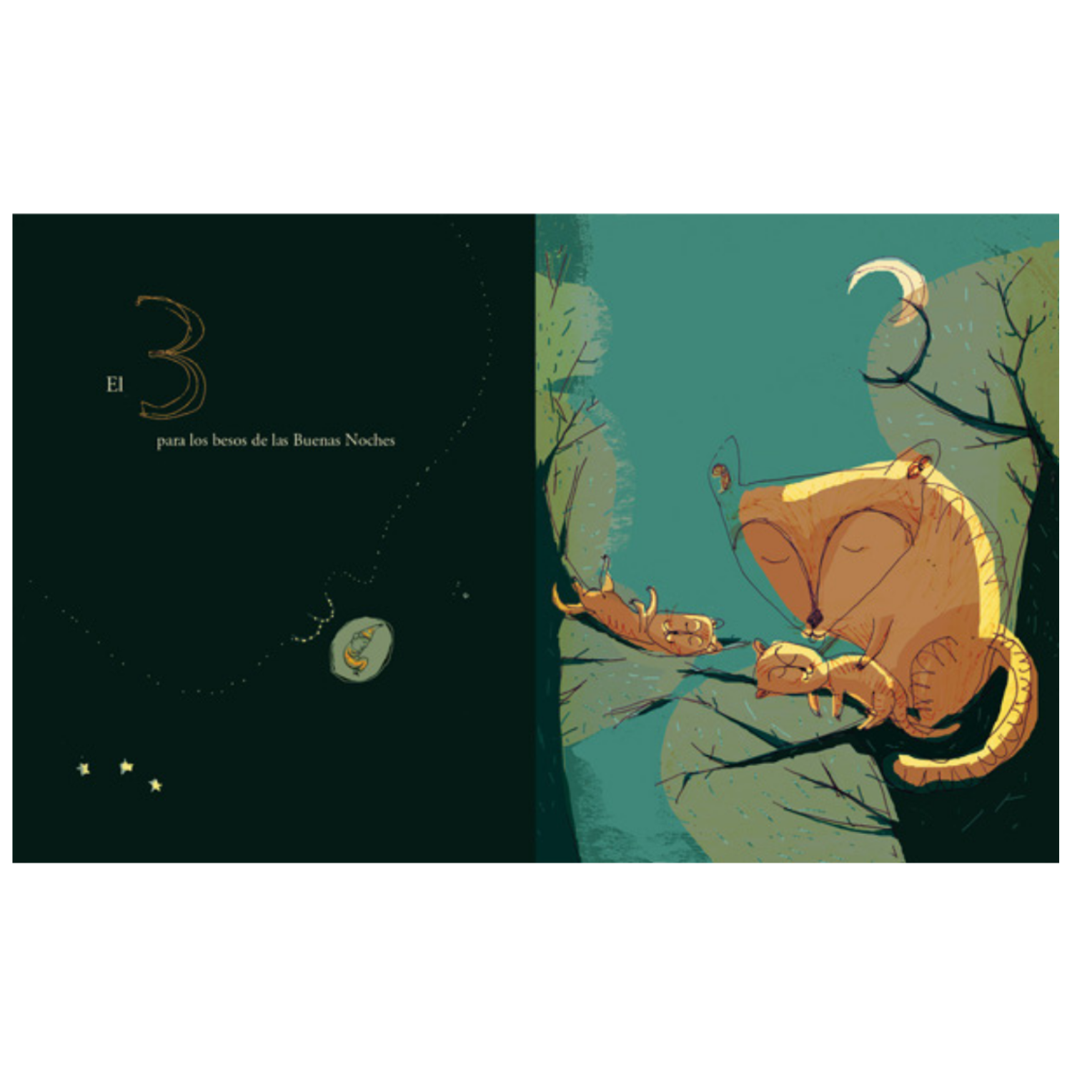 LIBRO NUMERALIA - 3
