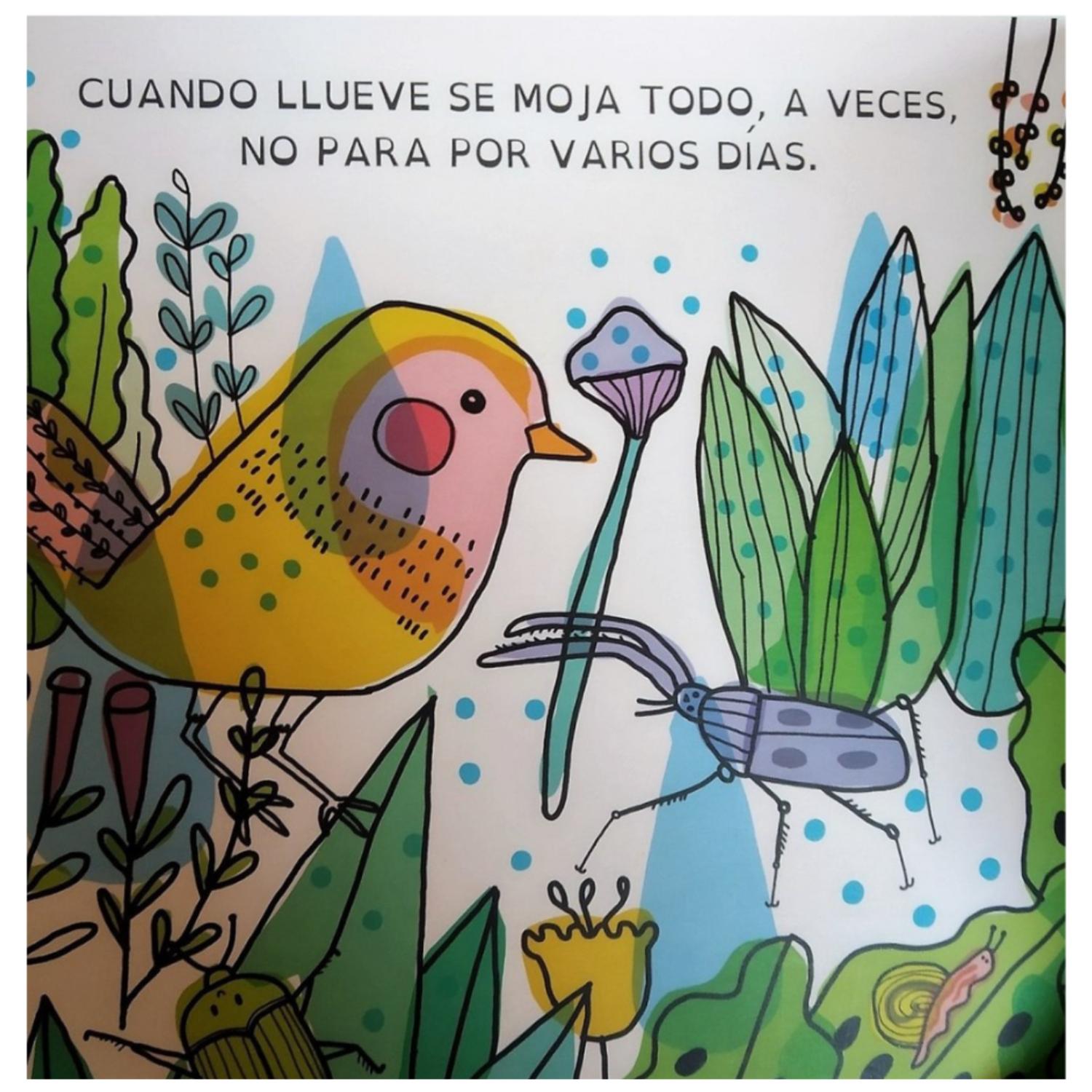 LIBRO DÍAS DE LLUVIA - 4