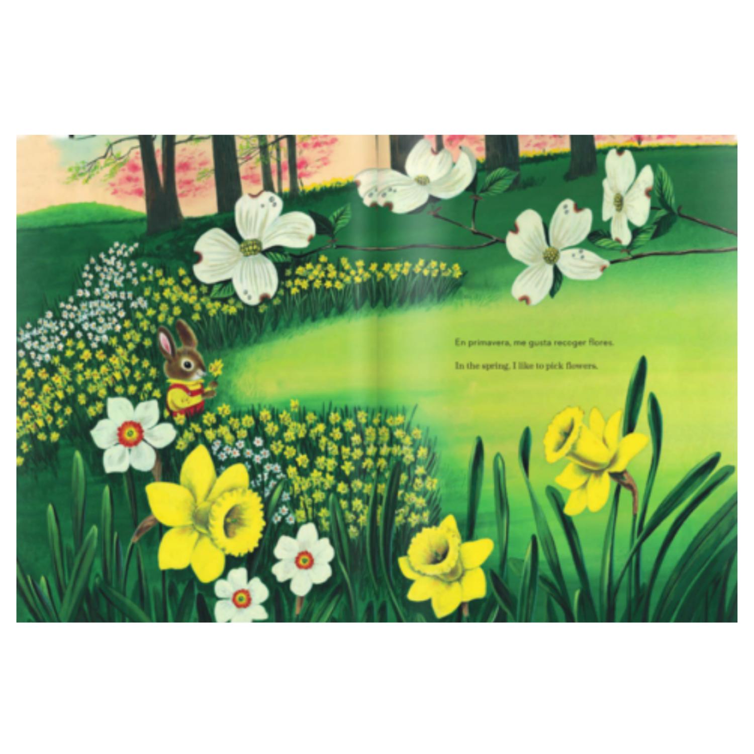LIBRO SOY UN CONEJO (BILINGUE) - 2