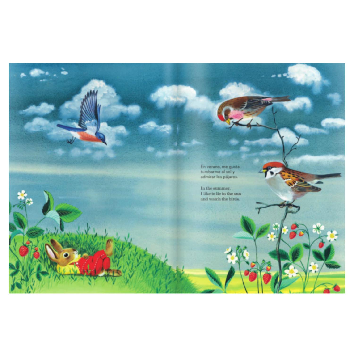 LIBRO SOY UN CONEJO (BILINGUE) - 3