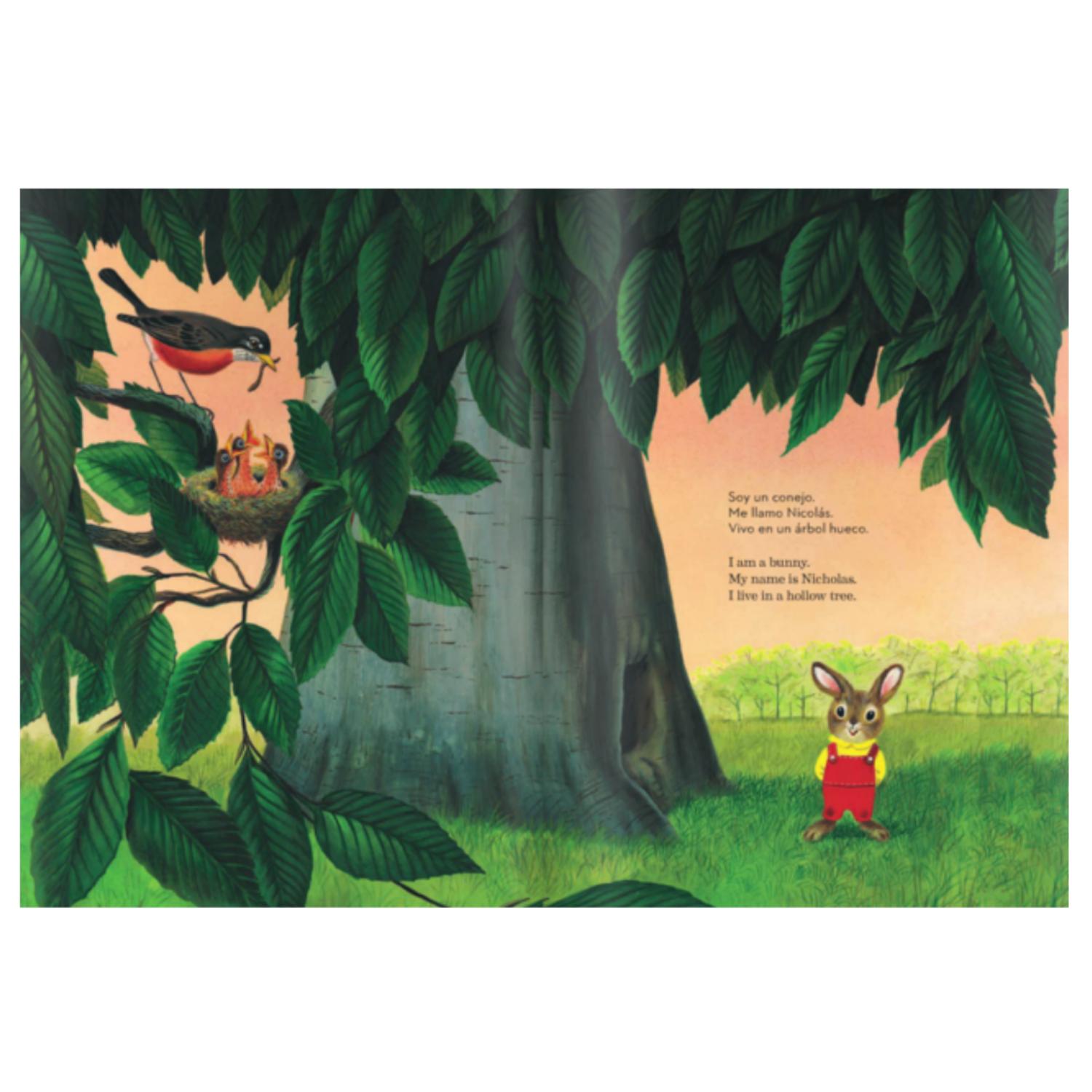 LIBRO SOY UN CONEJO (BILINGUE) - 4