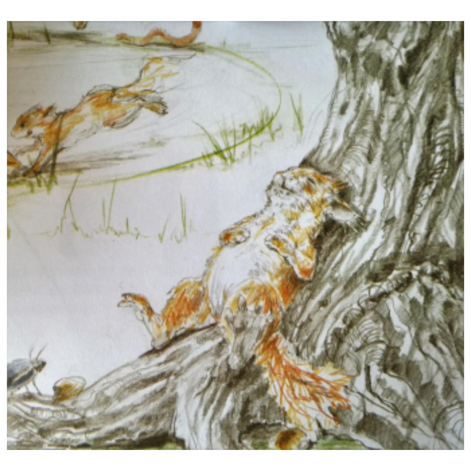 LIBRO MARTÍN Y LA LLEGADA DE LA PRIMAVERA - 2