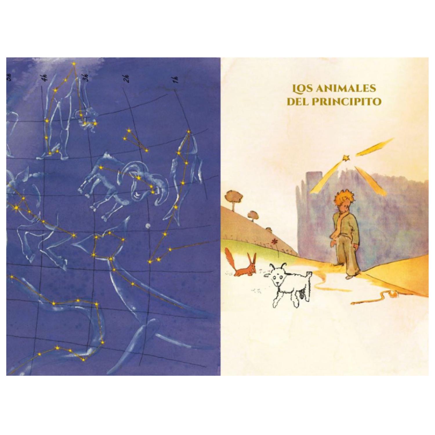 LIBRO EL UNIVERSO DEL PRINCIPITO - 2