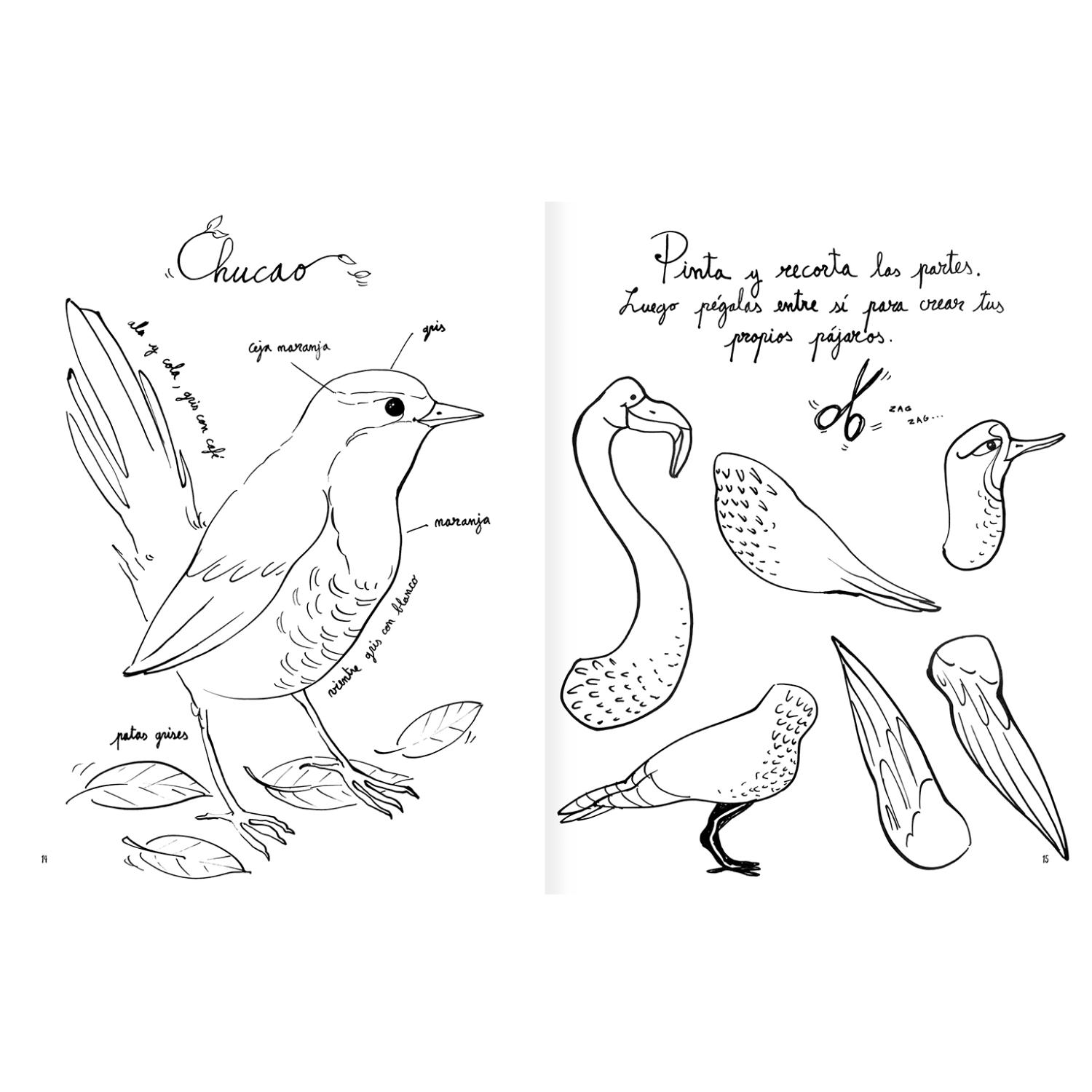 LIBRO PINTAPÁJAROS - 3