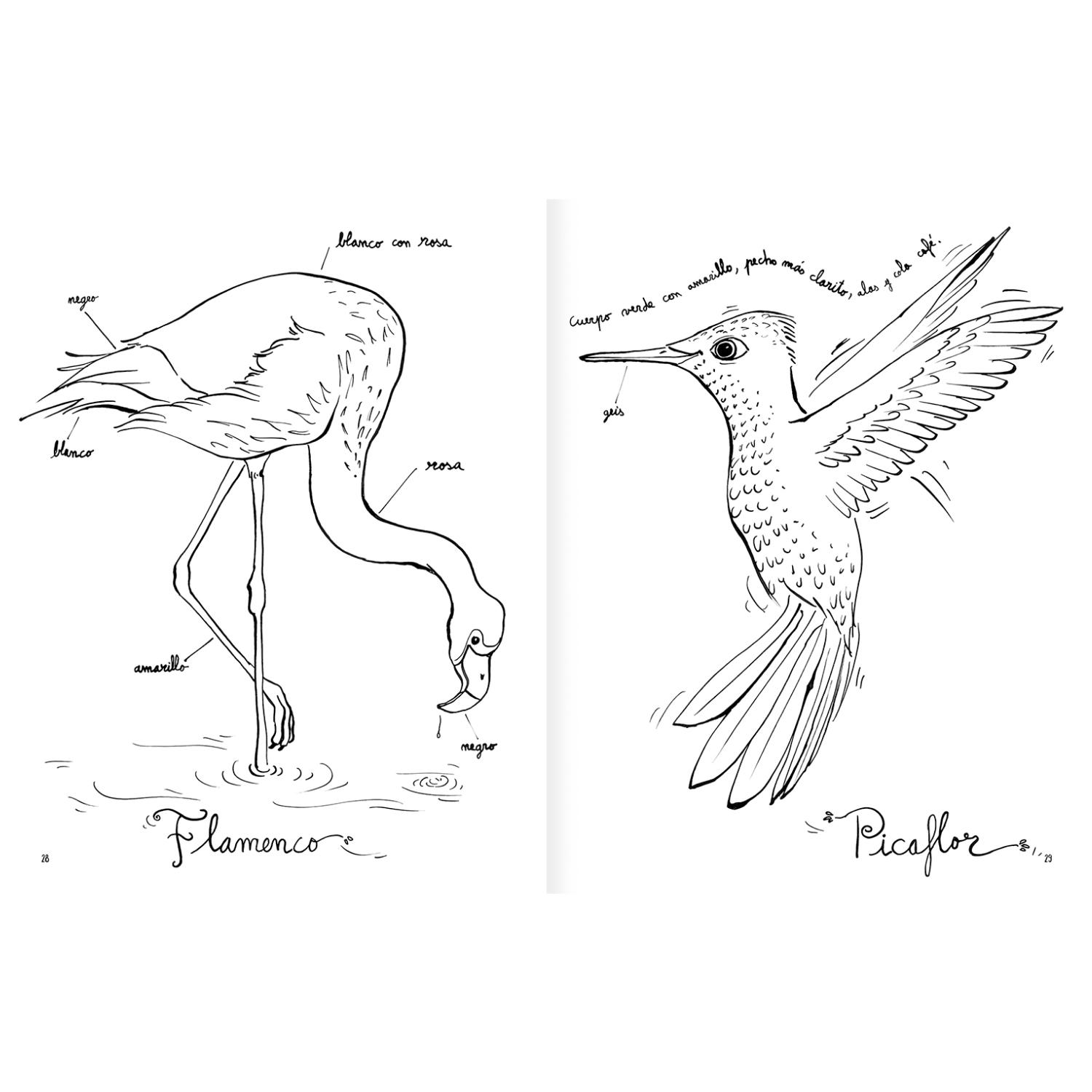 LIBRO PINTAPÁJAROS - 5