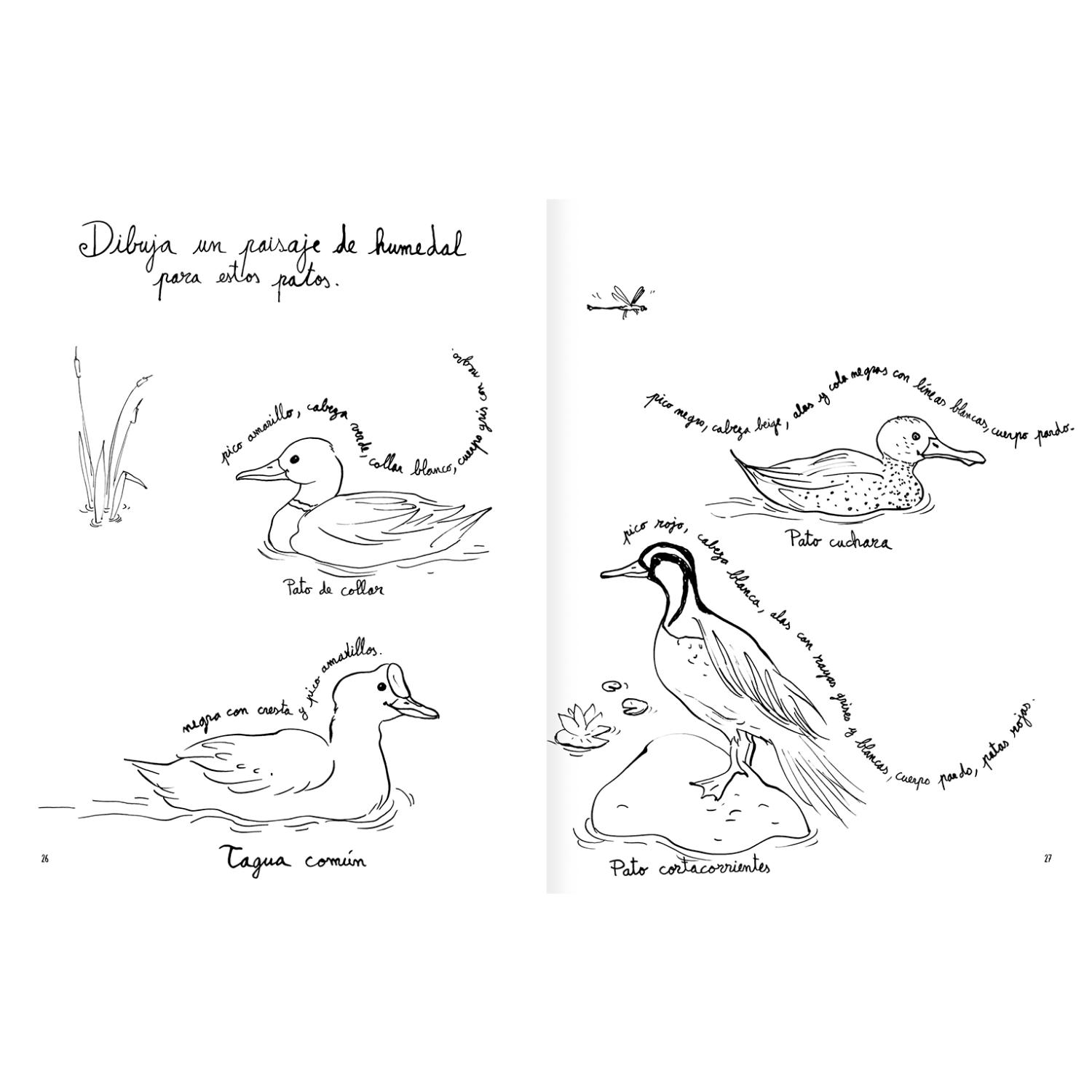 LIBRO PINTAPÁJAROS - 6