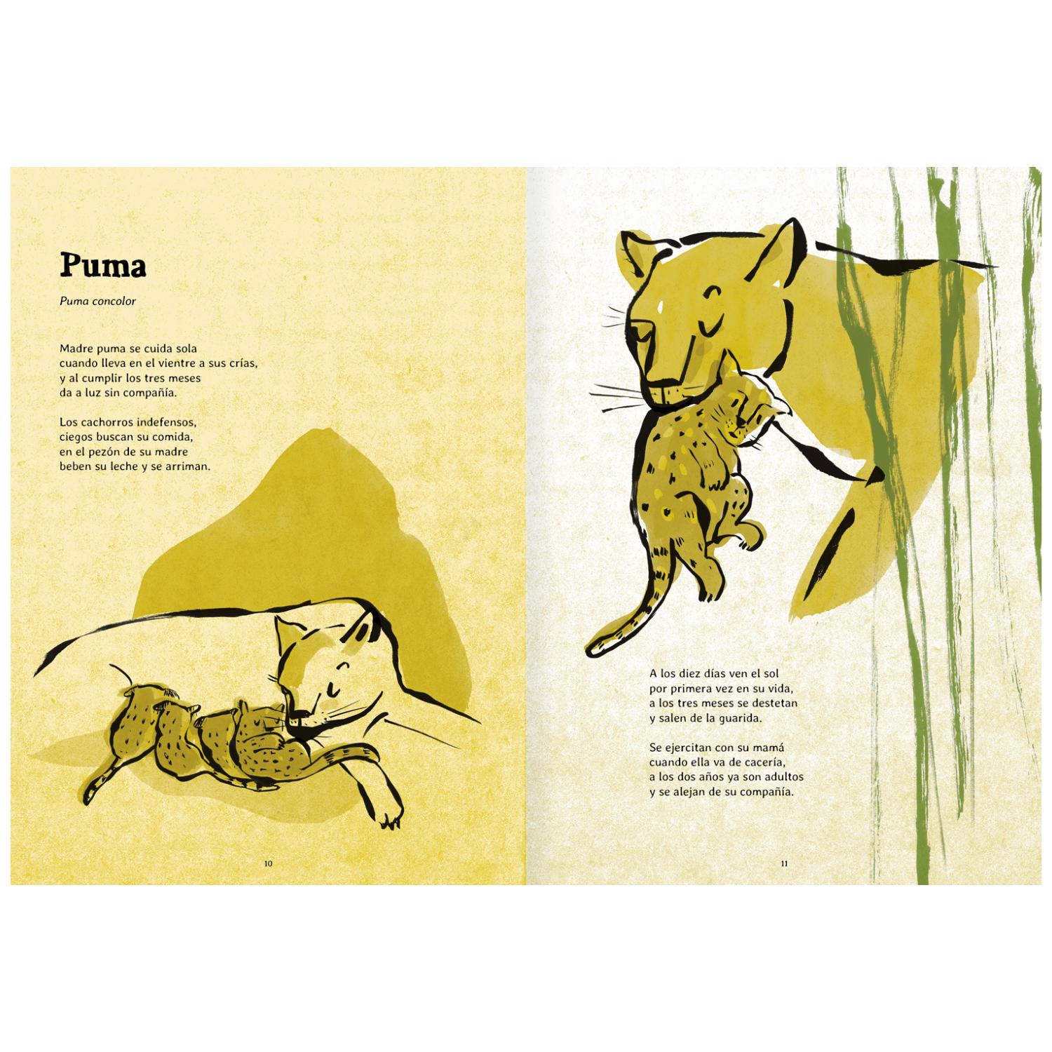 LIBRO NACER - 2