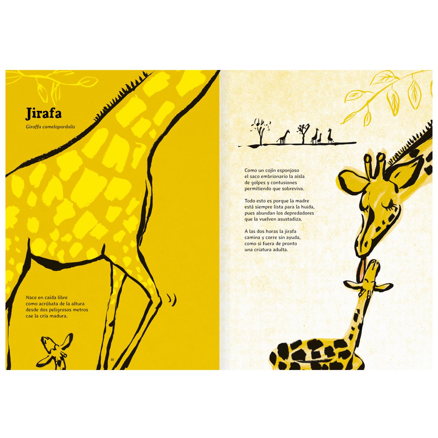 LIBRO NACER - 3