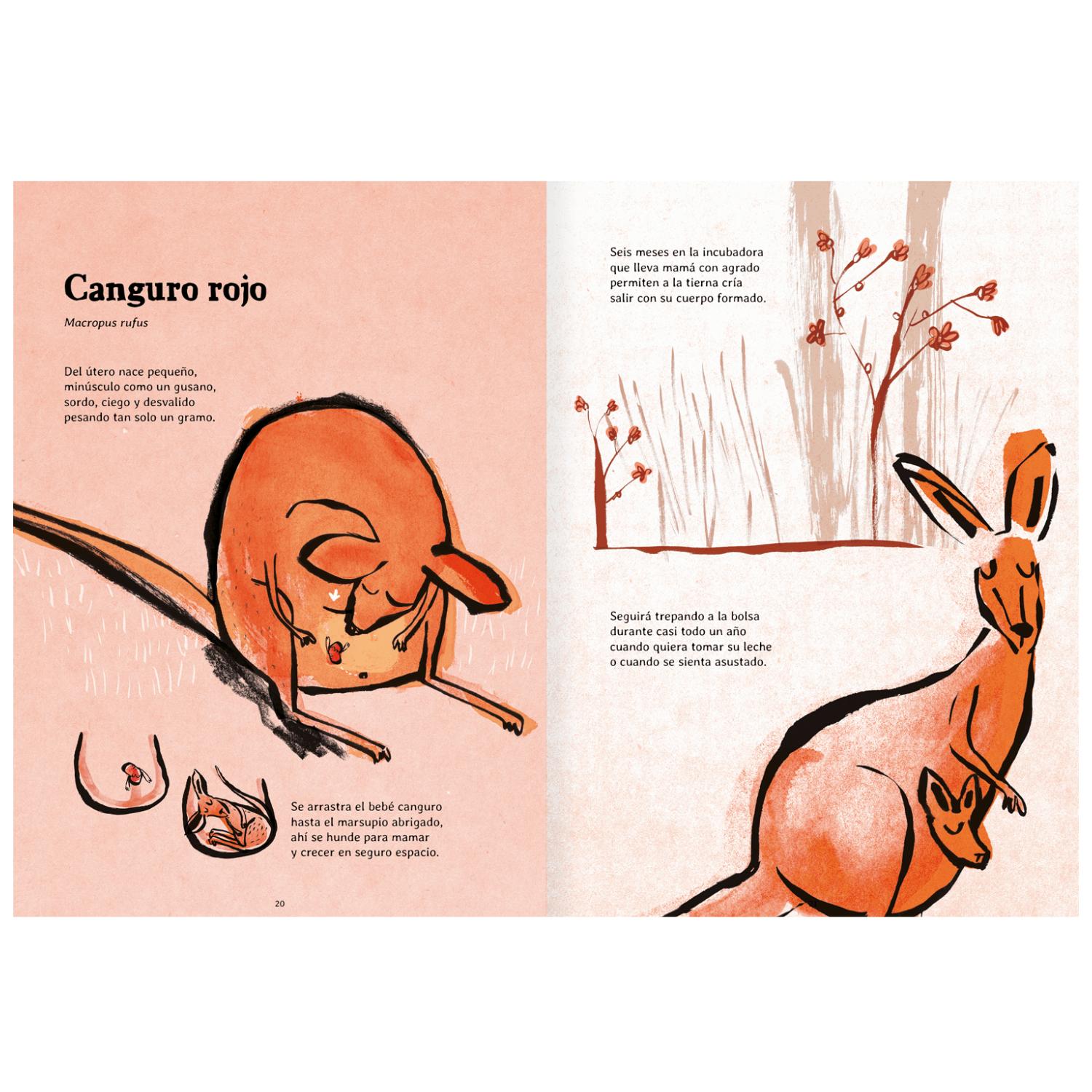 LIBRO NACER - 4