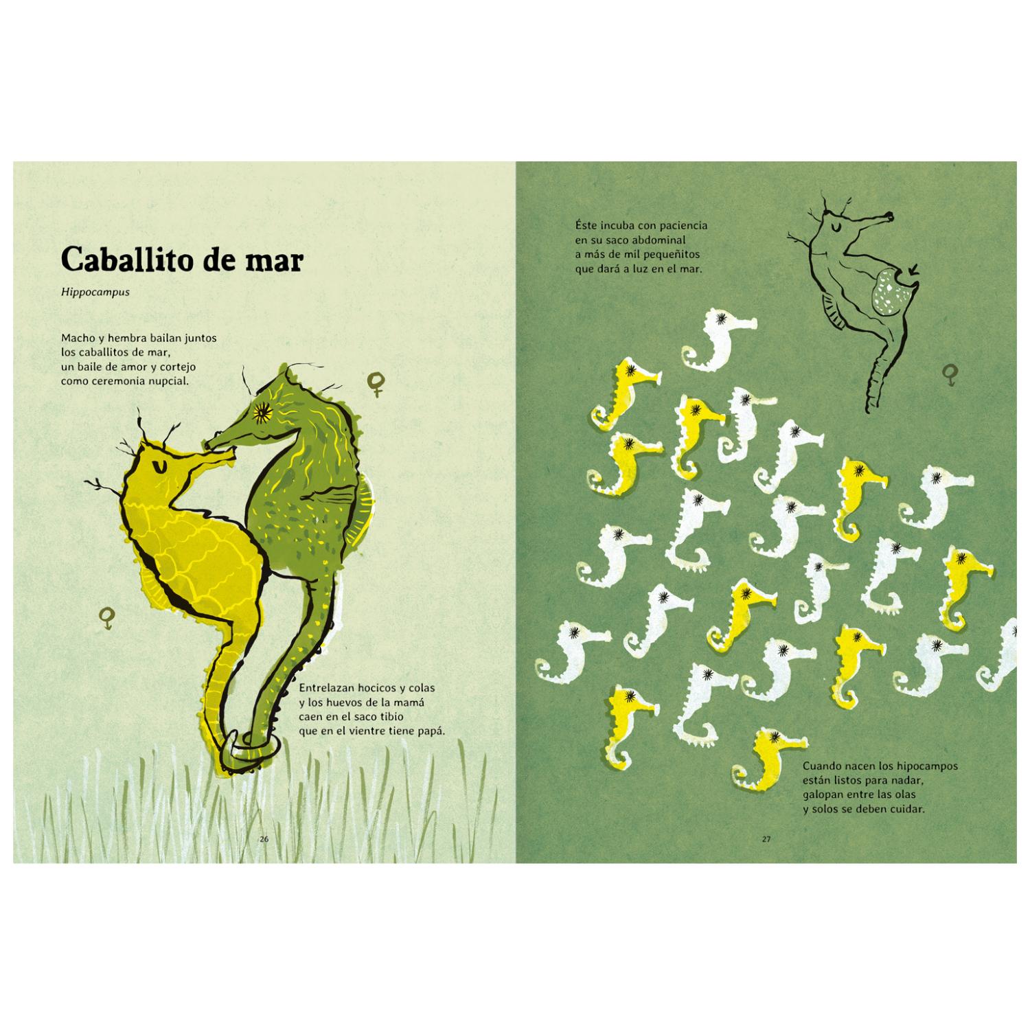 LIBRO NACER - 5