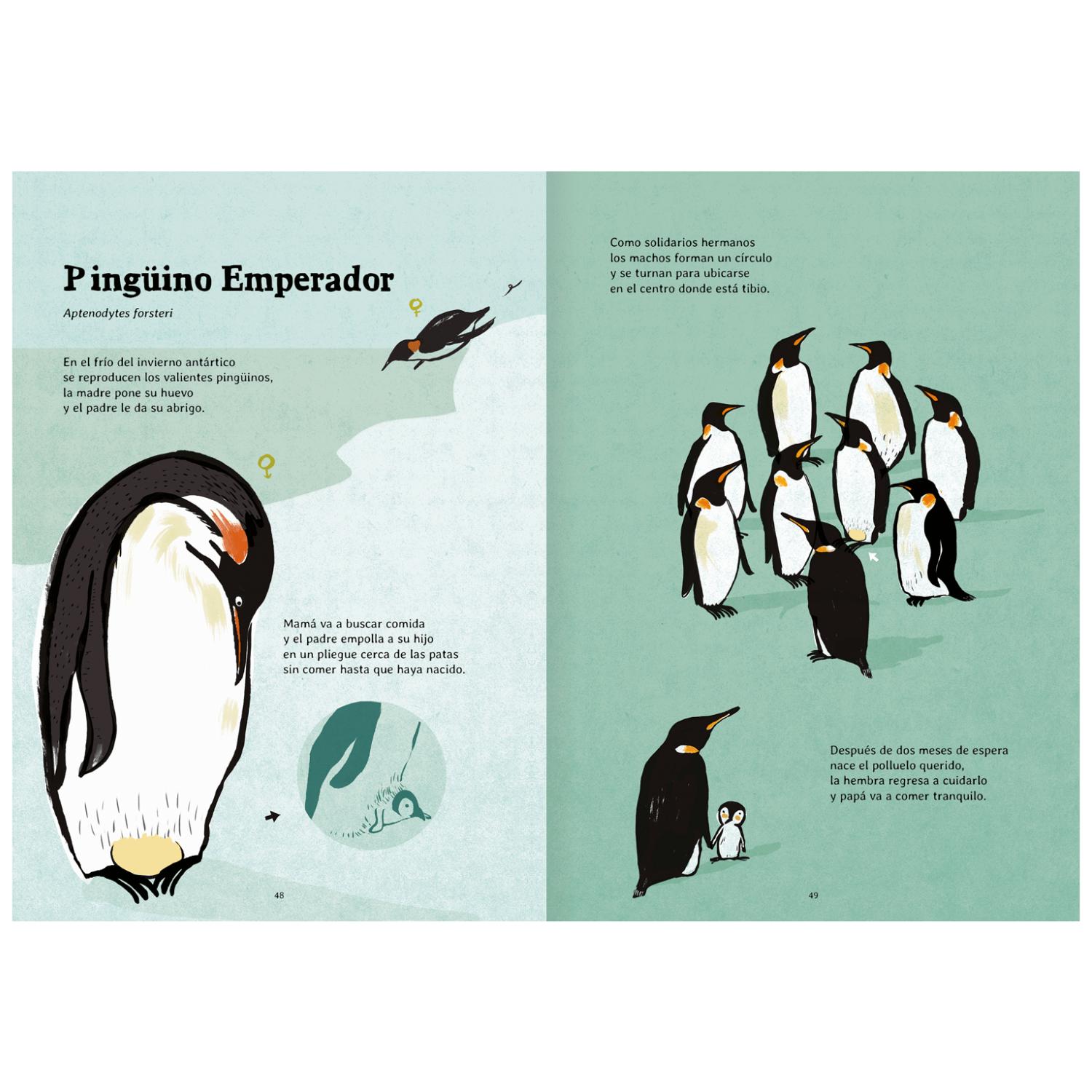 LIBRO NACER - 6