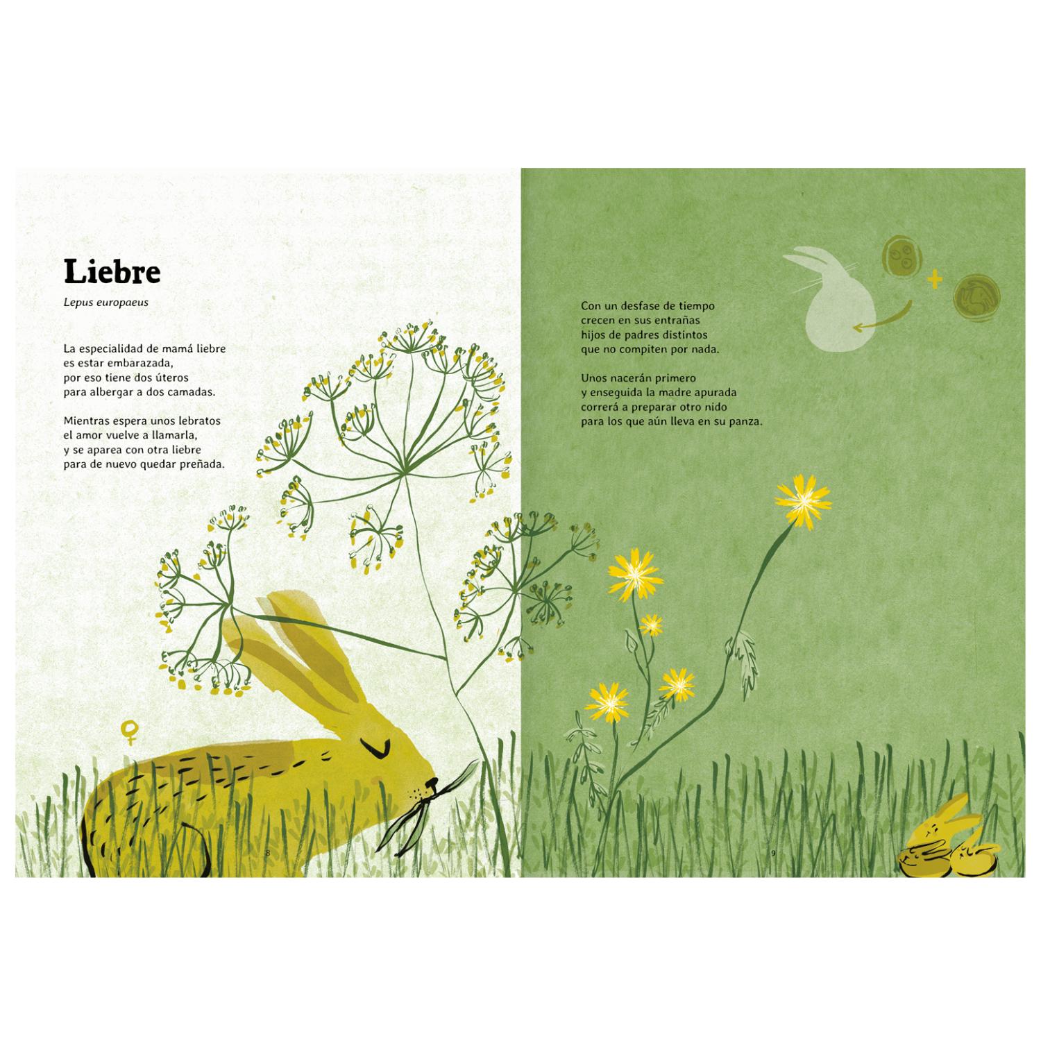 LIBRO NACER - 7