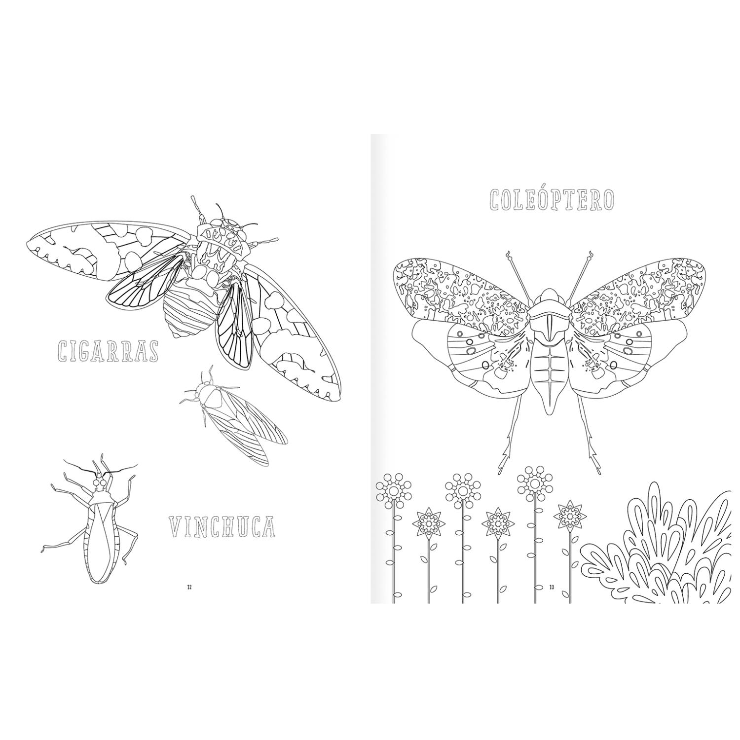 LIBRO INSECTOPINTA - 3