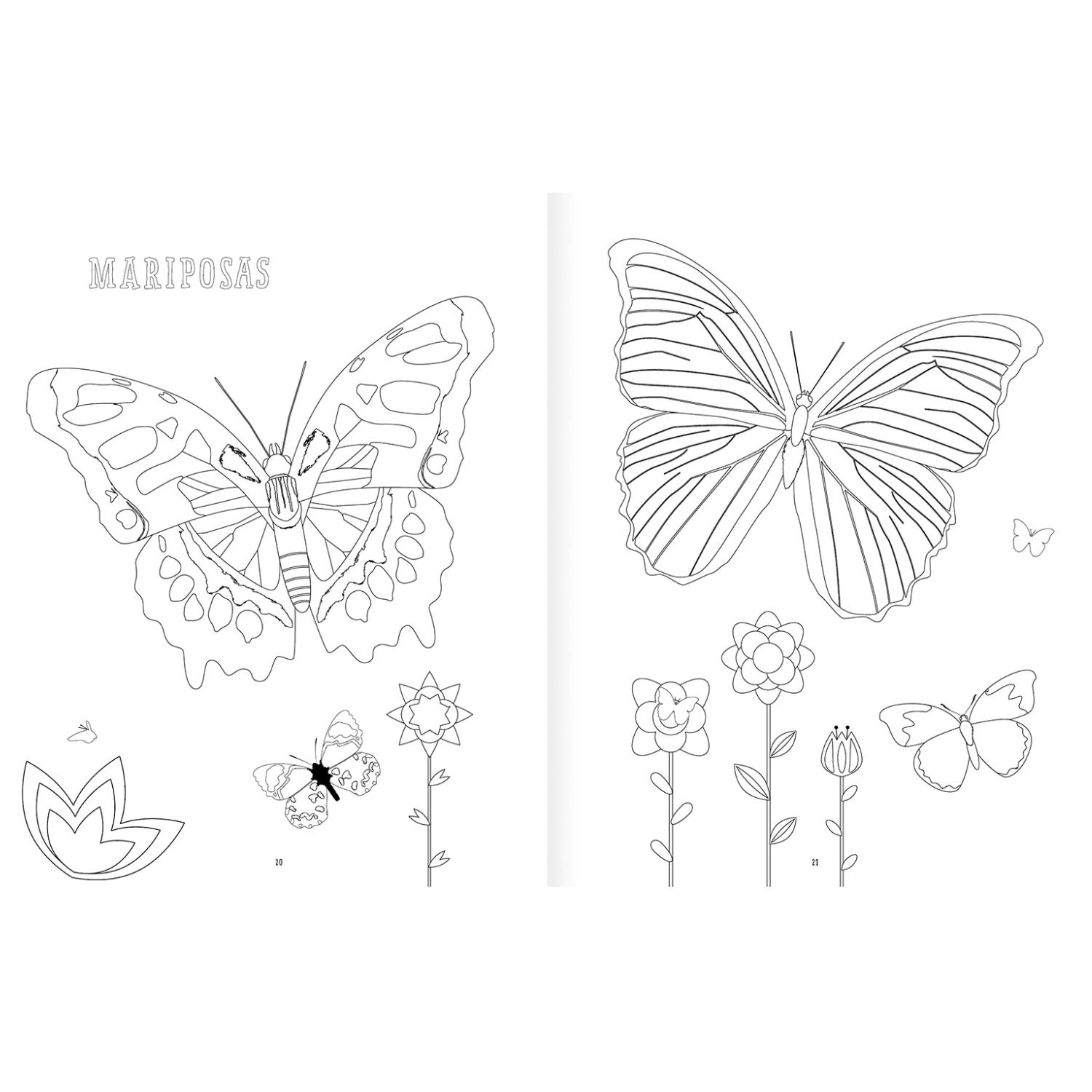 LIBRO INSECTOPINTA - 6