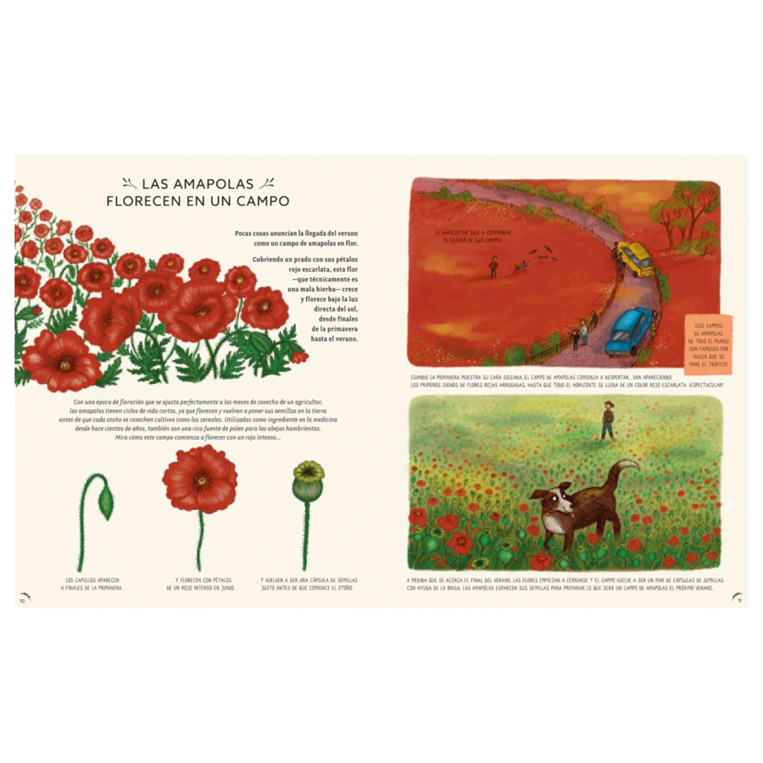 LIBRO CON CALMA - 50 HISTORIAS DE LA NATURALEZA - 3