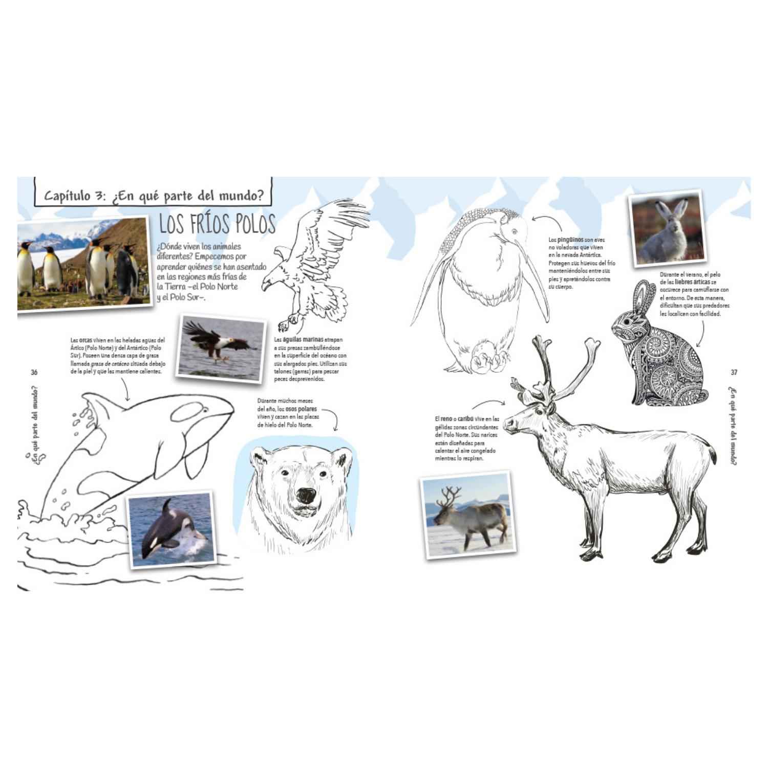 LIBRO COLORPEDIA DE LOS ANIMALES - 3