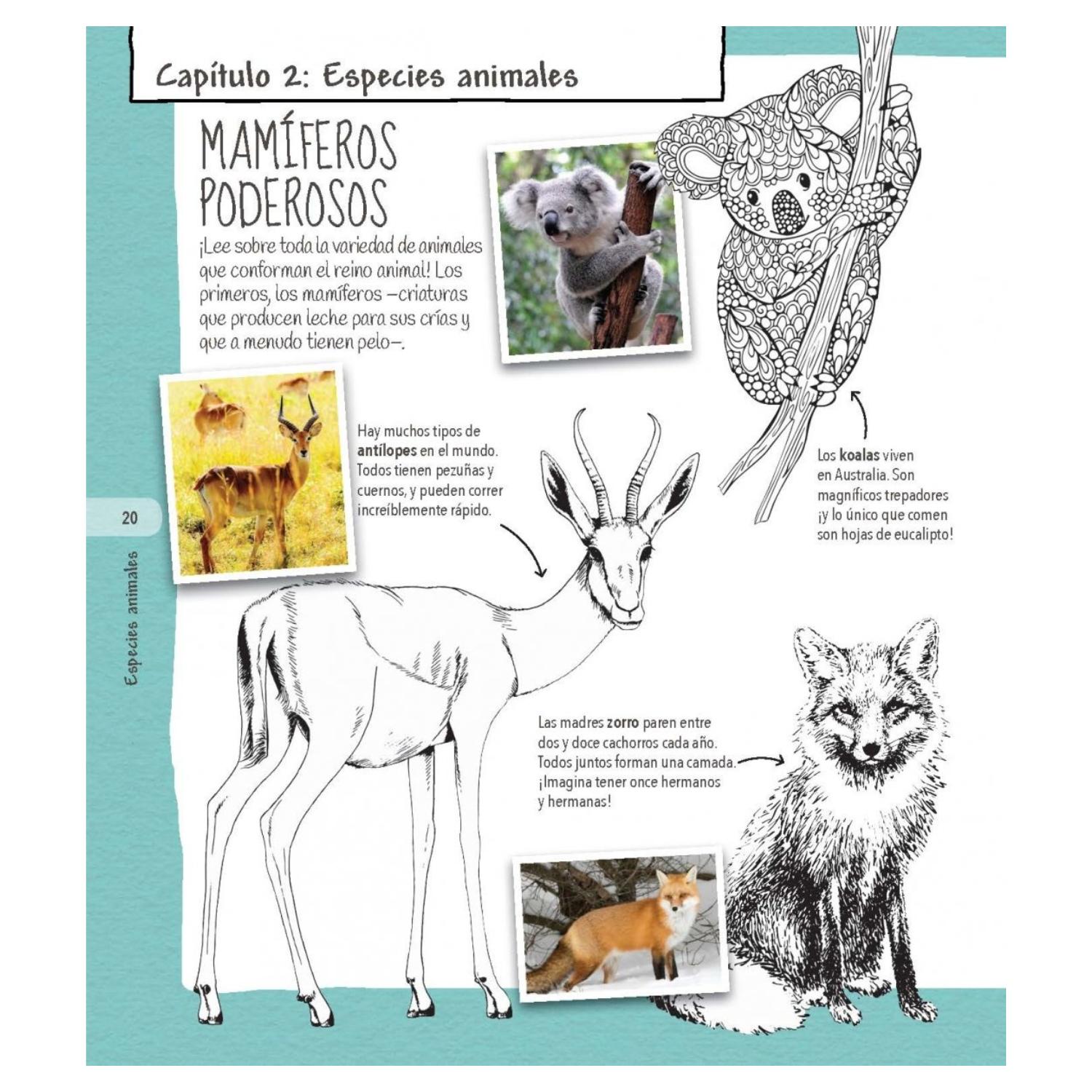 LIBRO COLORPEDIA DE LOS ANIMALES - 4