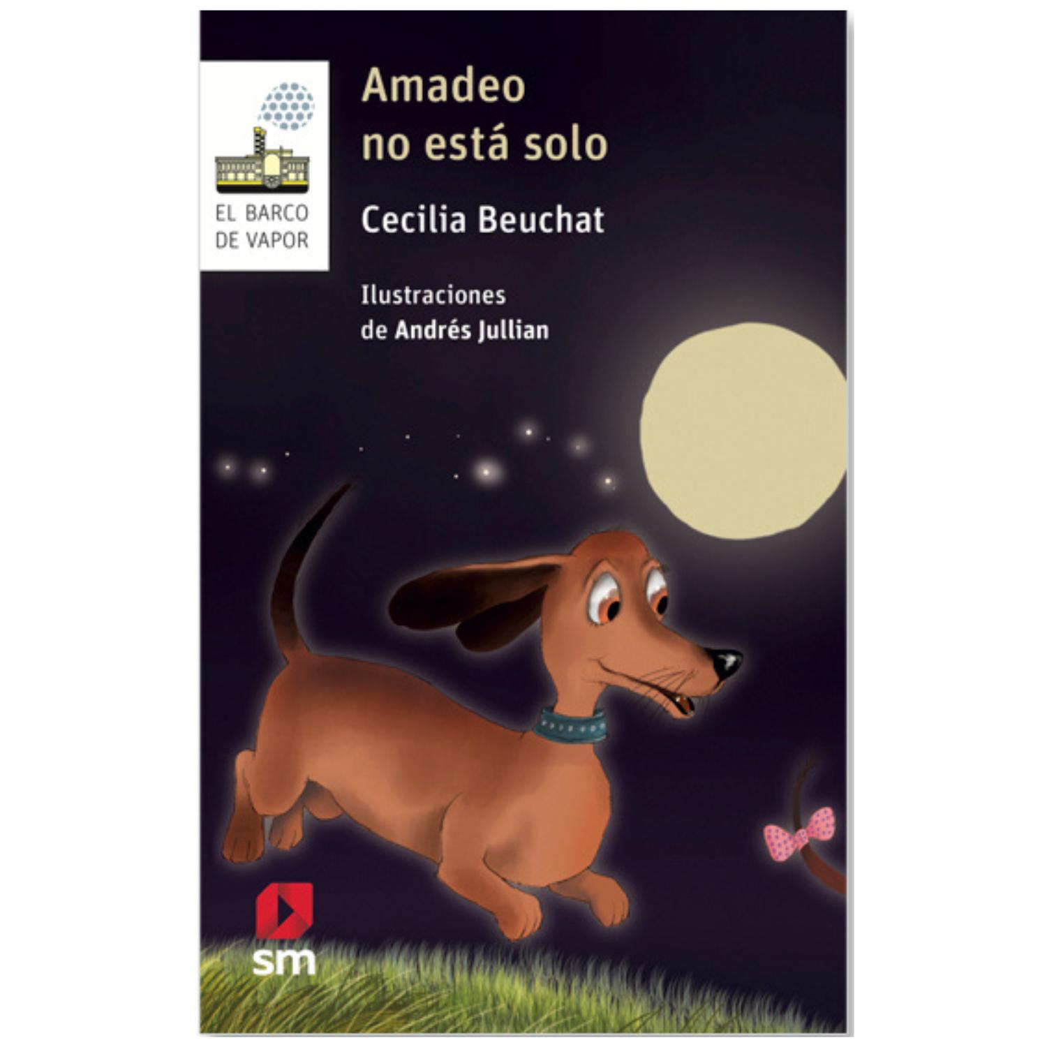 LIBRO AMADEO NO ESTÁ SOLO - 1