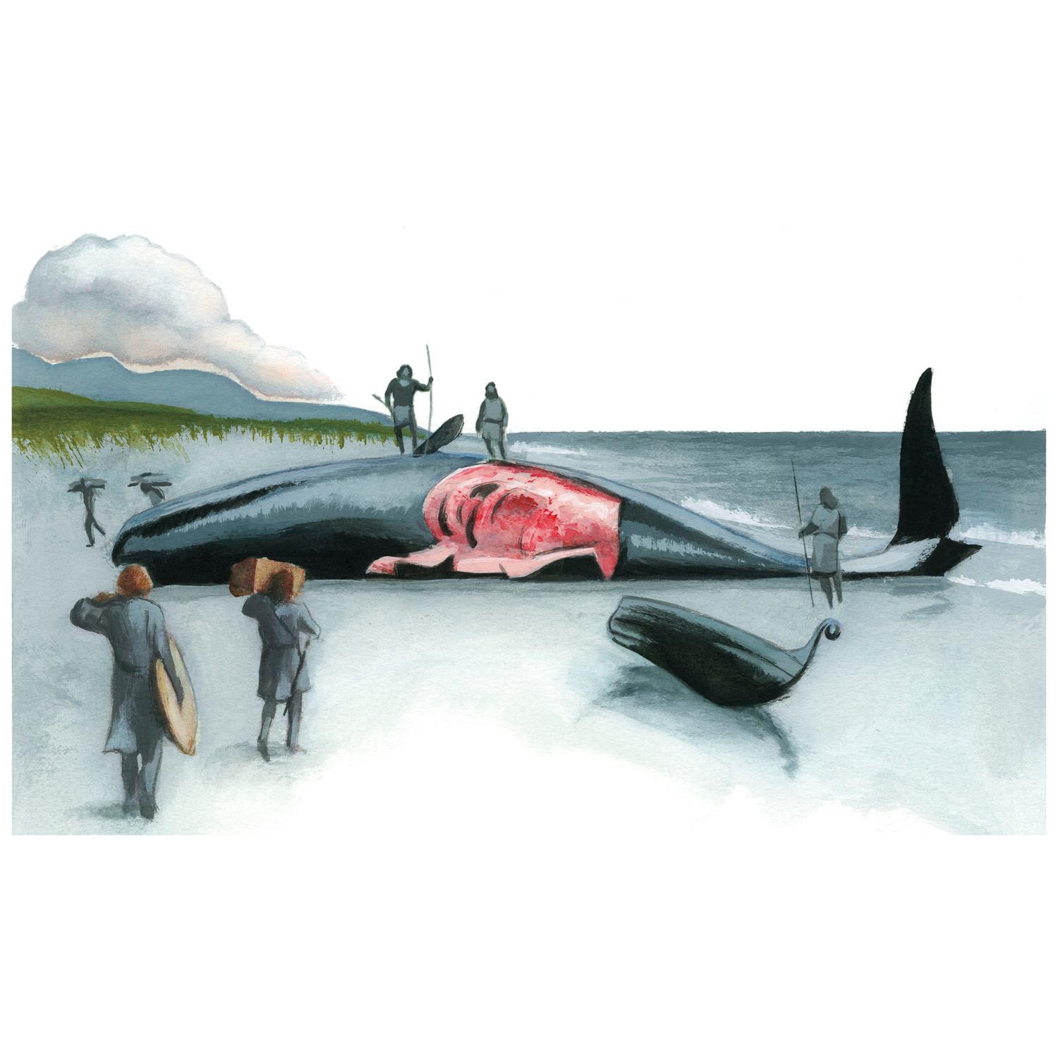 LIBRO LA SAGA DE EIRÍK EL ROJO - ANÓNIMO - ILUSTRADO POR FERNANDO VICENTE - 6